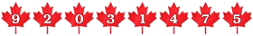 Canada Maple Leaf Big